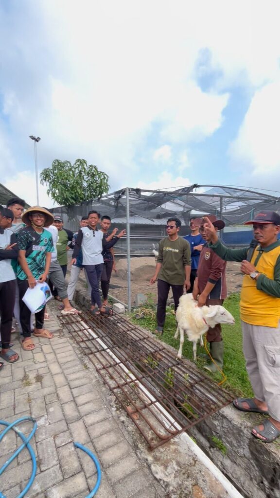 Gambar para santri dan ustadz bersiap untuk penyembelihan